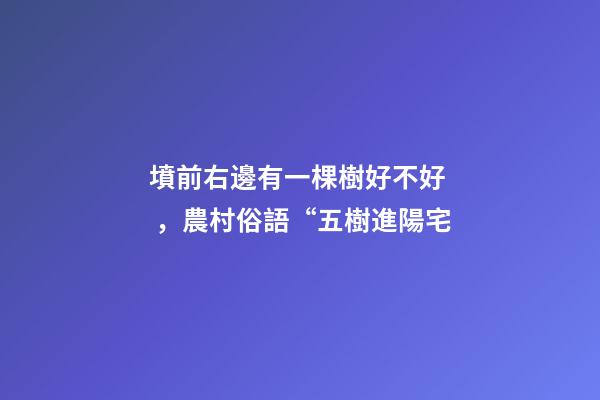 墳前右邊有一棵樹好不好，農村俗語“五樹進陽宅